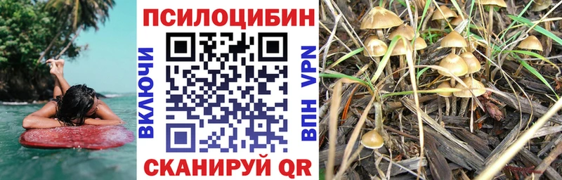 Псилоцибиновые грибы ЛСД  купить  цена  МЕГА вход  Ардатов 
